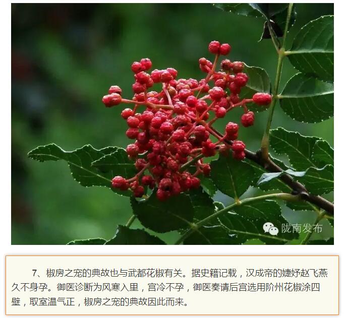 蘭渝鐵路最早由孫中山先生提出？在隴南，你不知道的事兒還有……