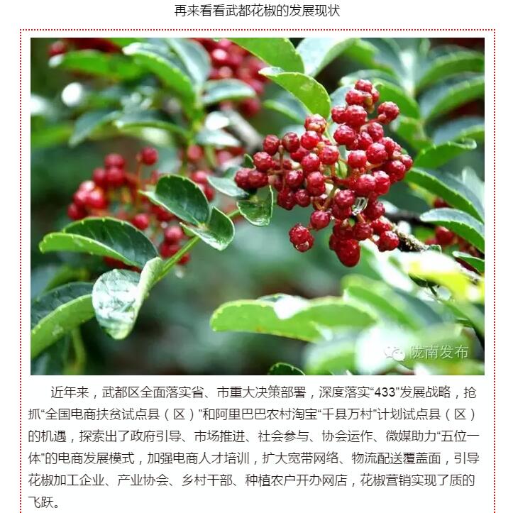 5.28億！一場(chǎng)盛會(huì)，武都花椒“火”了