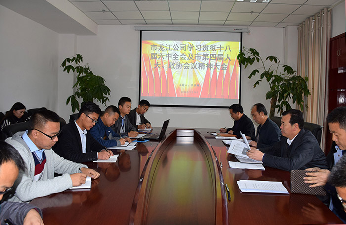 市龍江公司召開全體員工大會，專題傳達學習上級會議精神