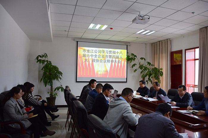 市龍江公司召開全體員工大會，專題傳達學習上級會議精神