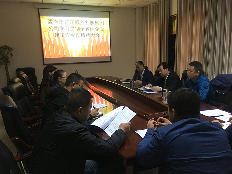 市龍江城鄉(xiāng)發(fā)展集團公司召開全省 國有企業(yè)黨的建設(shè)工作會議精神學習會議