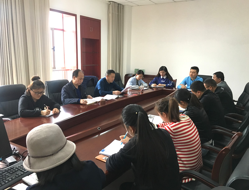 市龍江城鄉(xiāng)發(fā)展集團專題學習近期中央、省、市紀律檢查委員會議精神