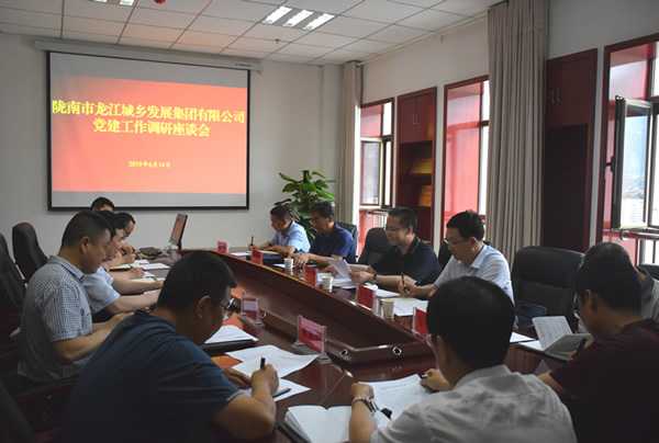 隴南市委常委、組織部部長楊郃調(diào)研指導(dǎo)市龍江城鄉(xiāng)發(fā)展集團(tuán)公司黨建工作